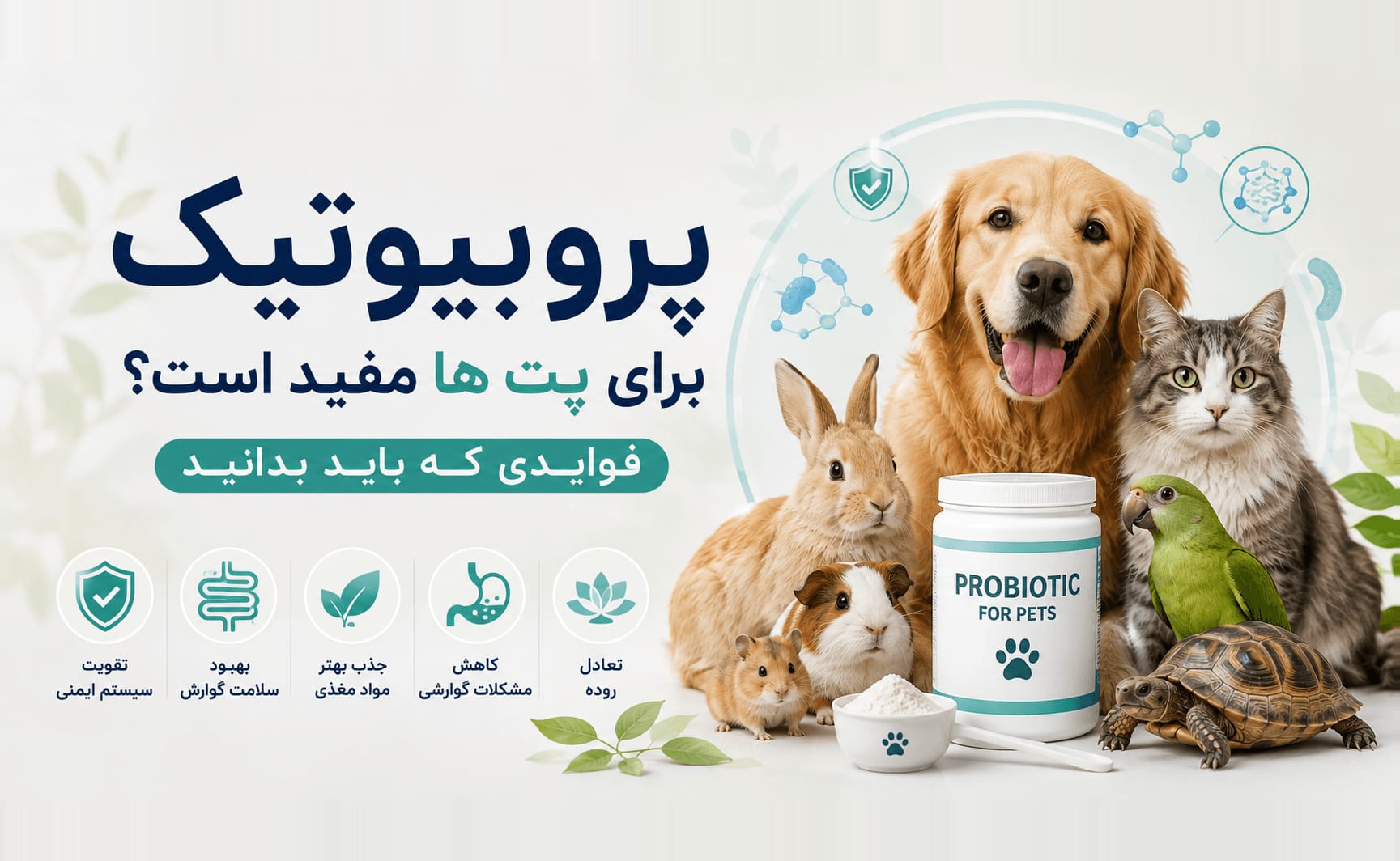 پروبیوتیک برای پت‌ها مفید است؟ فوایدی که باید بدانید