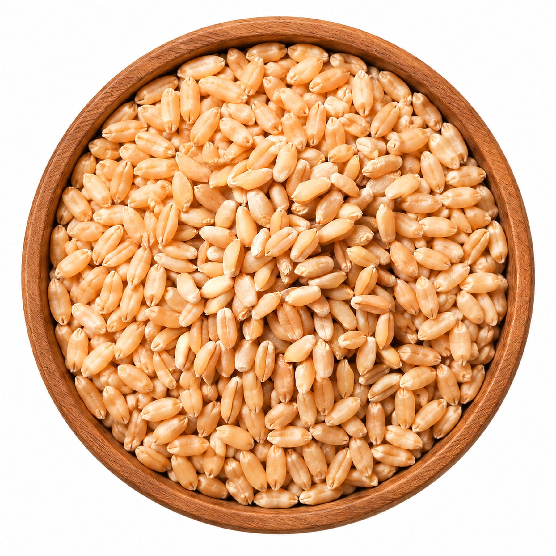 گندم جوانه